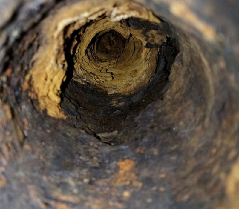 Clyde-Hill-Sewer-Line-Issues
